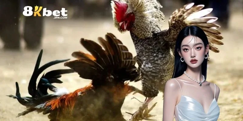 Cược sớm để trúng lớn suốt mọi khung giờ thi đấu